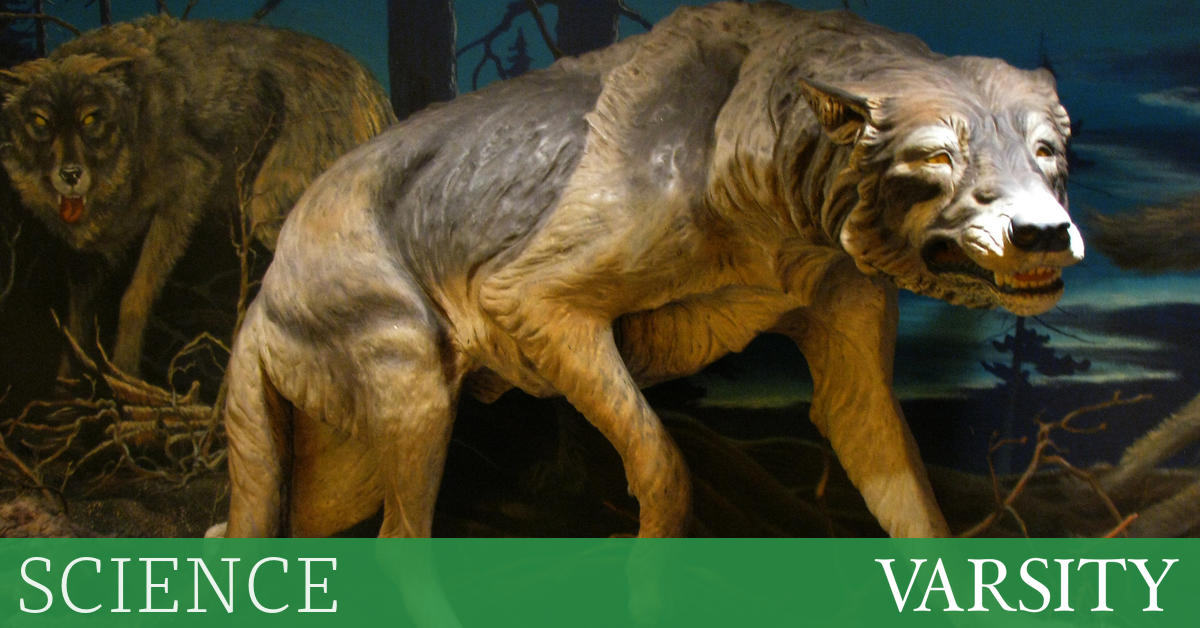 A mammoth discovery? The science of de-extinction