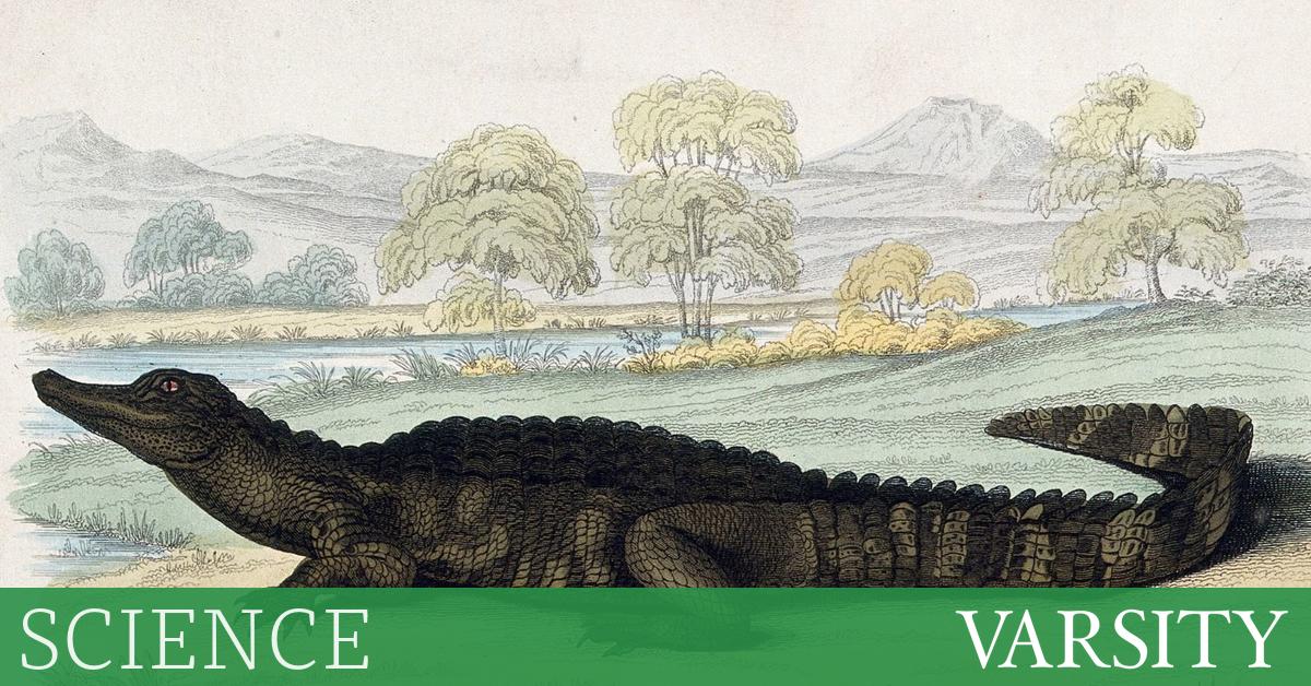 Research Roundup: Week Nine