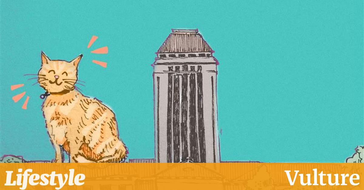 An ode to Cambridge pets