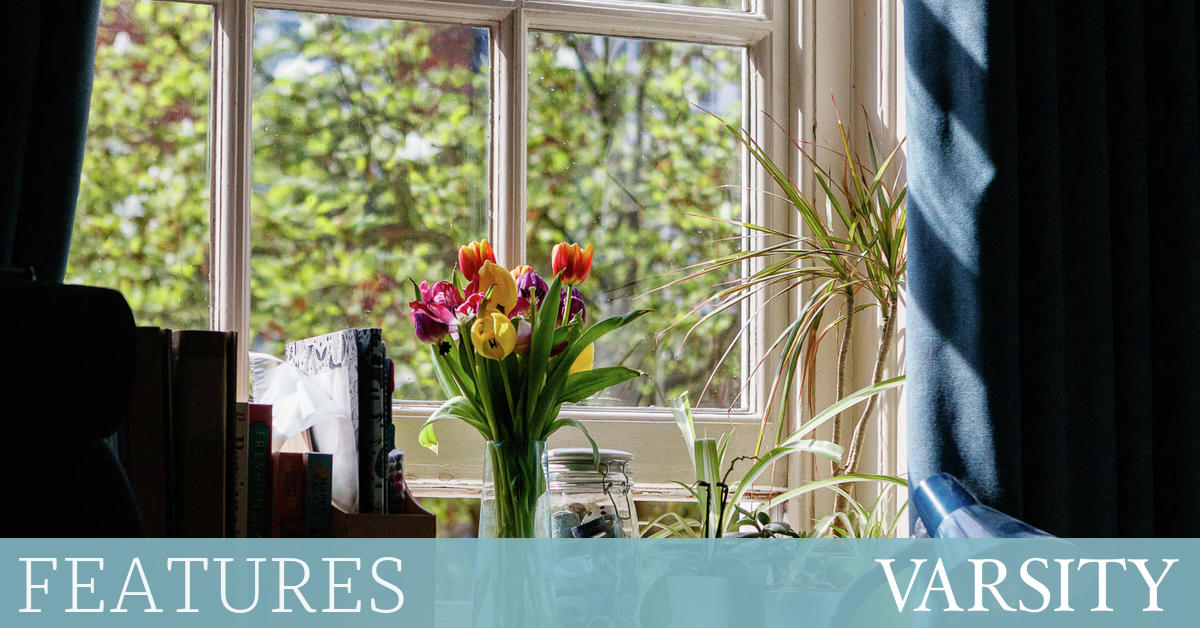 The truth behind the 'rich international student' stereotype