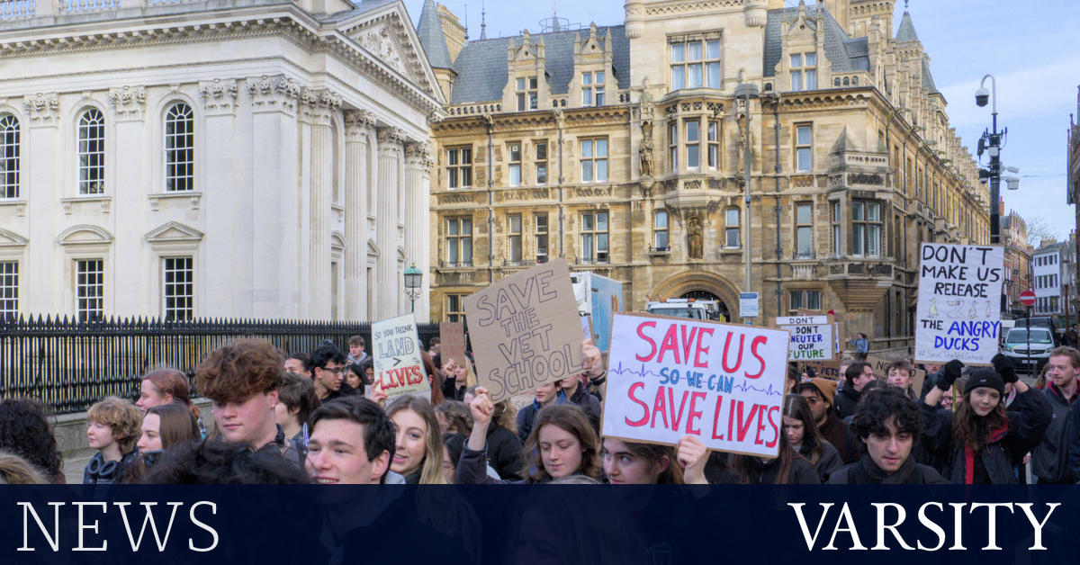 School of Biological Sciences will no longer oversee Vet School improvement
