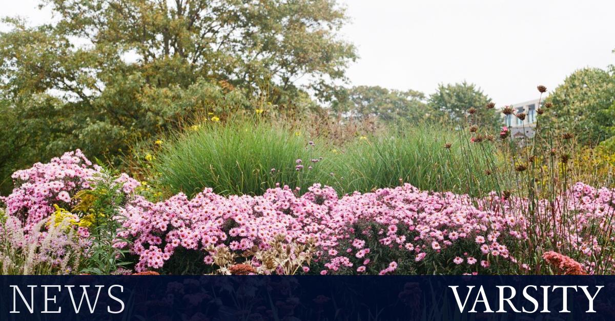 New botany course uses materials studied by Darwin